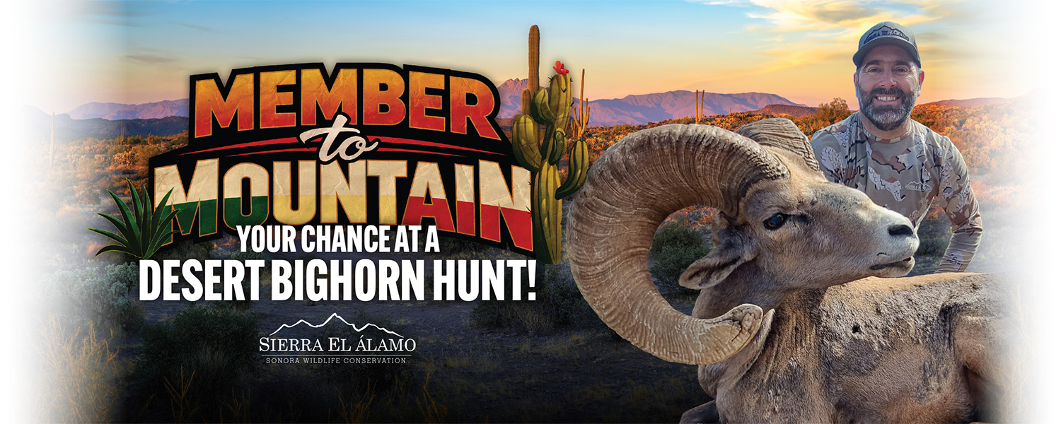 Win a desert bighorn hunt - Join Today